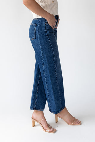 Nicolete Dark Barrel Twist Jean