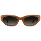 Brown sunglasses with dark lenses on a white background
